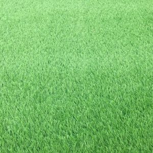 thảm cỏ nhân tạo